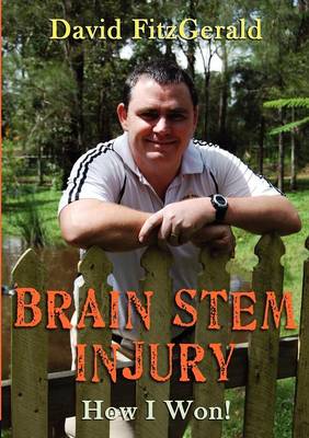 Book cover for Brain Stem Injury