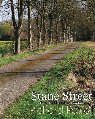 Book cover for Stane Street