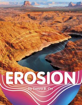 Cover of Erosion