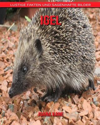 Book cover for Igel