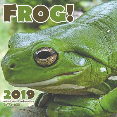 Book cover for Frog! 2019 Calendar (UK Edition)