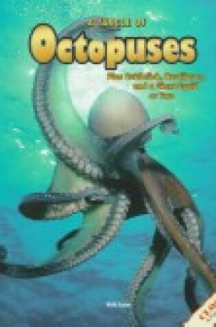 Cover of A Tangle of Octopuses