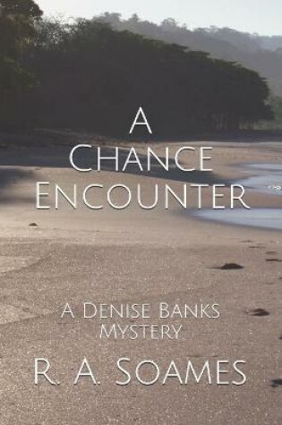 Cover of A Chance Encounter