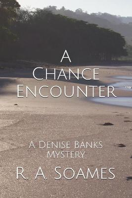 Book cover for A Chance Encounter