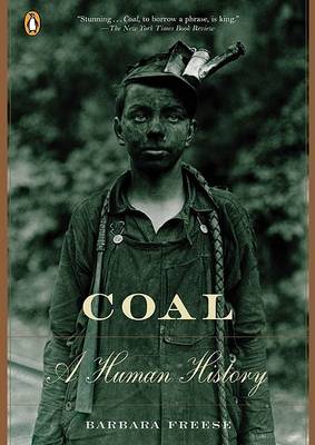 Book cover for Coal