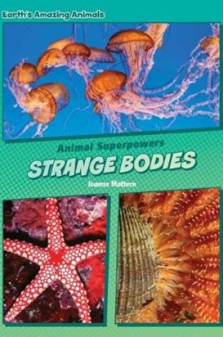 Cover of Strange Bodies