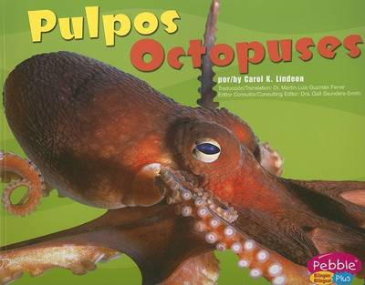 Book cover for Pulpos/Octopuses