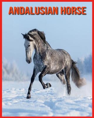 Book cover for Andalusian Horse