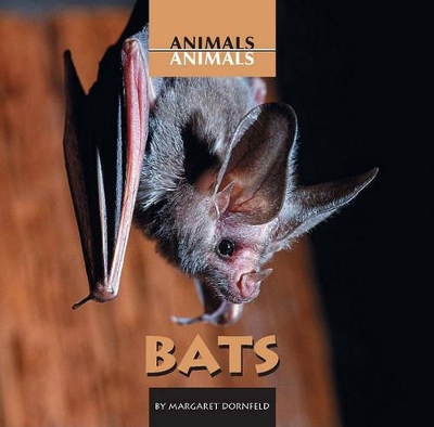 Book cover for Bats