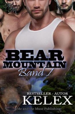 Book cover for Bear Mountain Band 1