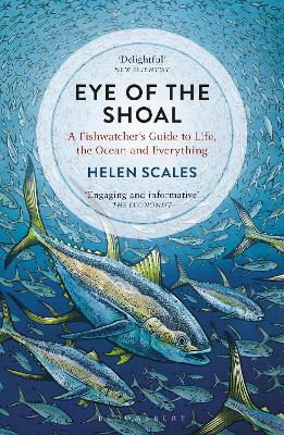 Book cover for Eye of the Shoal