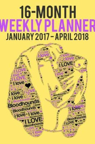 Cover of 16-Month Weekly Planner - January2017 - April2018