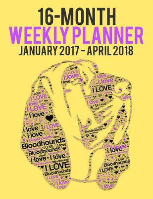 Book cover for 16-Month Weekly Planner - January2017 - April2018