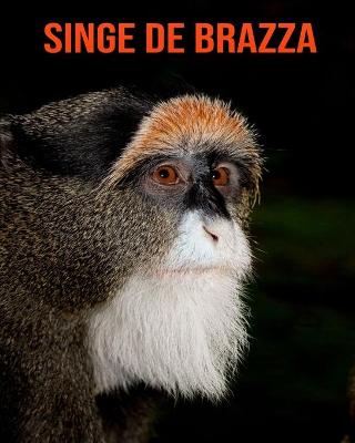 Book cover for Singe de Brazza