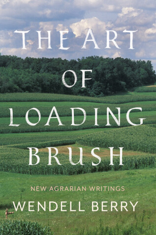 Book cover for The Art Of Loading Brush