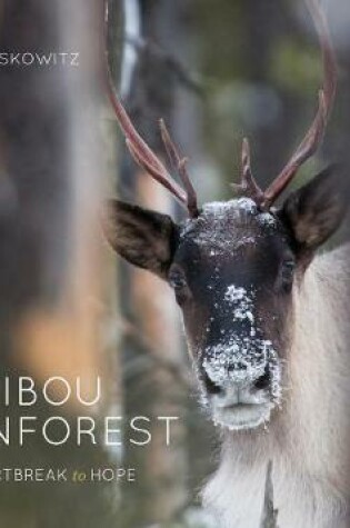 Cover of Caribou Rainforest