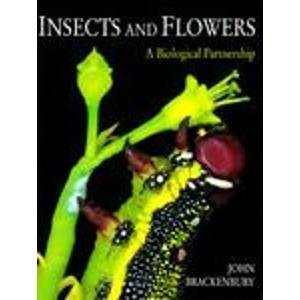 Book cover for Insects and Flowers