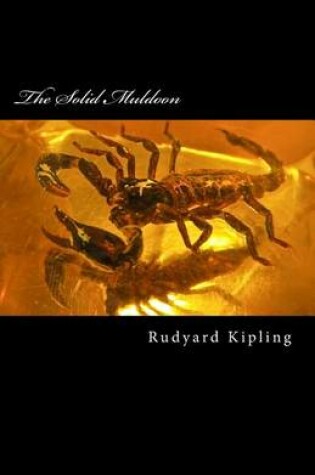 Cover of The Solid Muldoon