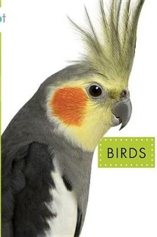 Cover of Birds