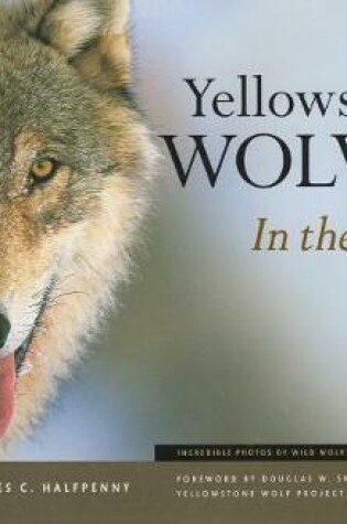 Cover of Yellowstone Wolves in the Wild