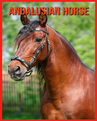 Book cover for Andalusian Horse