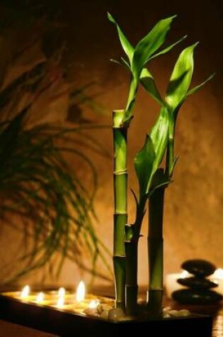 Cover of Zen Meditation Candles & Bamboo Plants Journal