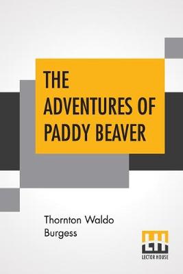 Book cover for The Adventures Of Paddy Beaver