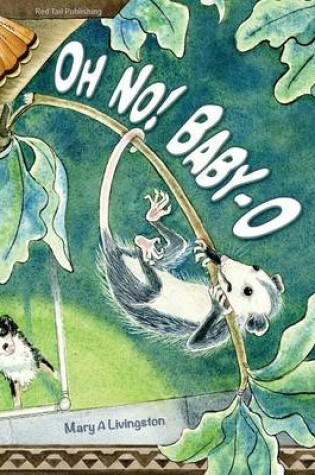 Cover of Oh No! Baby-O