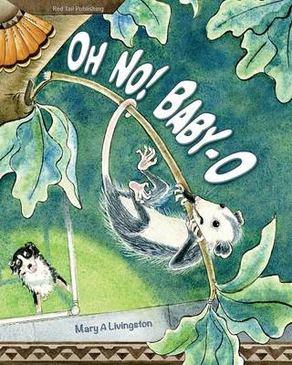 Book cover for Oh No! Baby-O