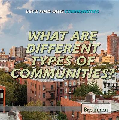 Book cover for What Are Different Types of Communities?
