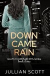 Book cover for Down Came the Rain