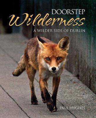 Book cover for Doorstep Wilderness