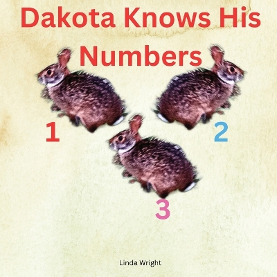 Book cover for Dakota Knows His Numbers 123