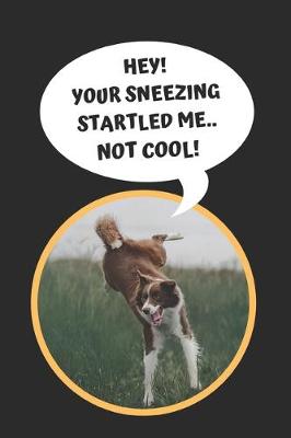 Book cover for Hey! Your Sneezing Startled Me.. Not Cool!