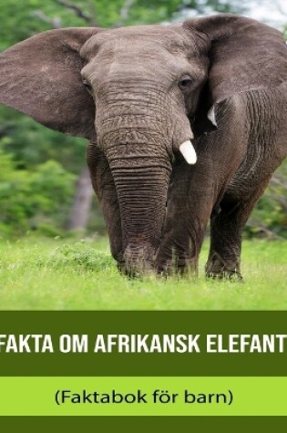 Cover of Fakta om Afrikansk elefant (Faktabok för barn)
