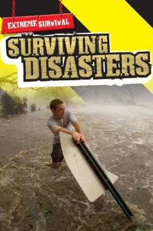 Cover of Surviving Disasters