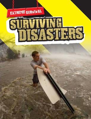 Book cover for Surviving Disasters