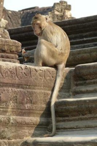 Cover of A Long Tailed Macaque at Angkor Wat Cambodia