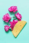 Book cover for Pop Art Flower Taco Journal