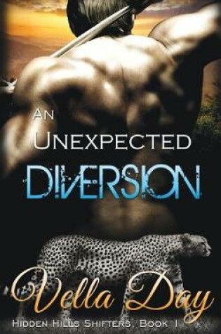 Cover of An Unexpected Diversion