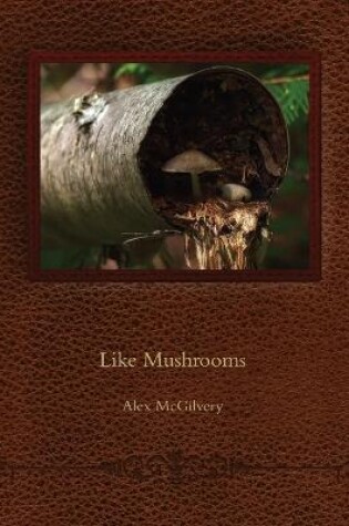 Cover of Like Mushrooms