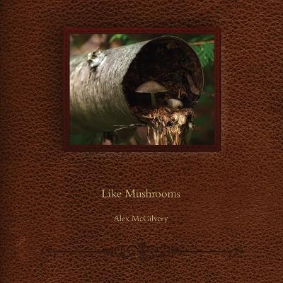 Book cover for Like Mushrooms