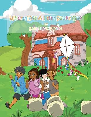 Book cover for Where Did All the Socks Go?