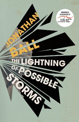 Book cover for The Lightning of Possible Storms