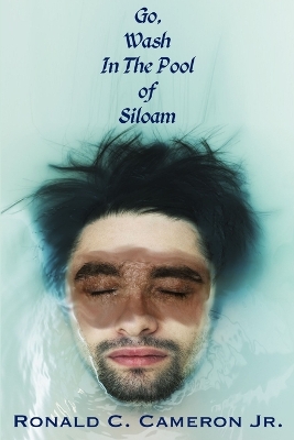 Book cover for Go, Wash in the Pool of Siloam