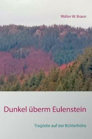 Cover of Dunkel überm Eulenstein