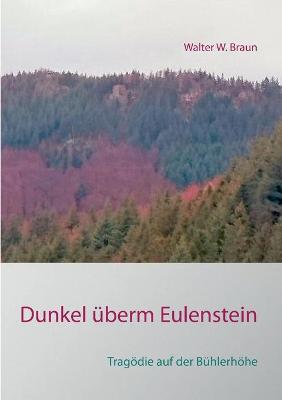 Book cover for Dunkel überm Eulenstein