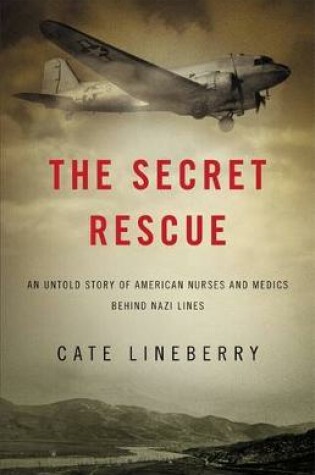 Cover of The Secret Rescue