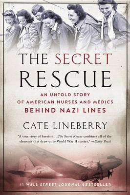 Book cover for The Secret Rescue