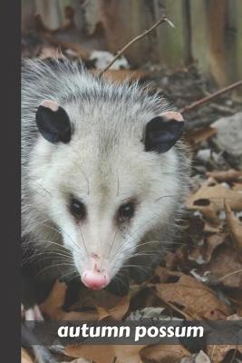 Book cover for autumn possum